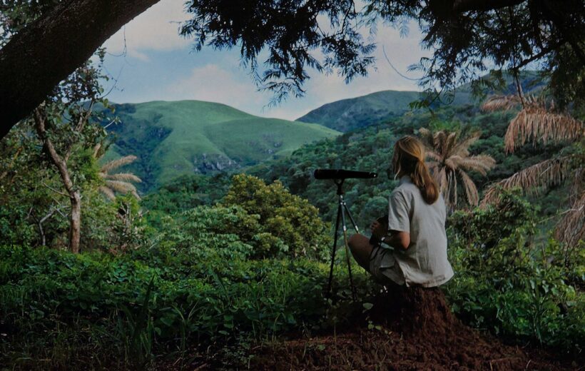 12 Days - Southern Highlands, Great Rift & Primate Wilderness