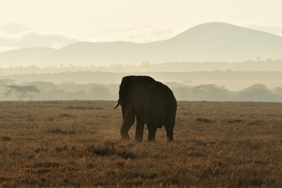 Katavi National Park