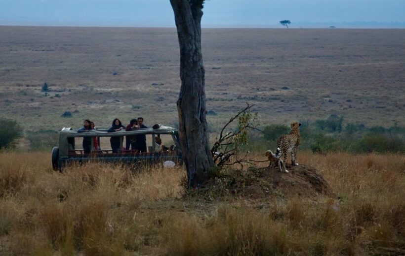 4 Days Safari: Tarangire, Serengeti, Ngorongoro Crater & Lake Manyara