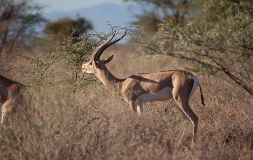 2 Days 1 Night: Mtindi Natural Spring, Mkomazi & Lake Jipe