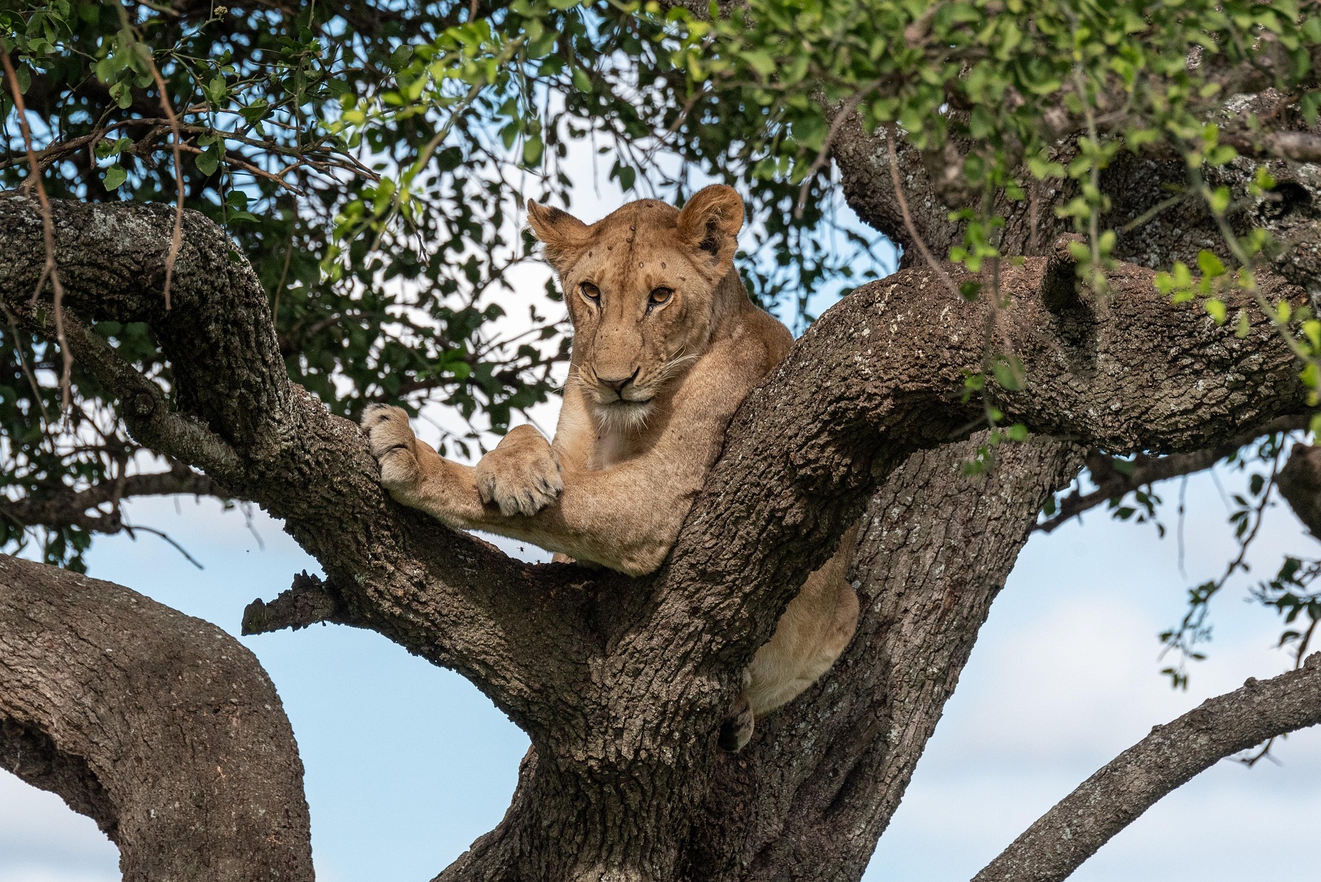 Lake Manyara National Park