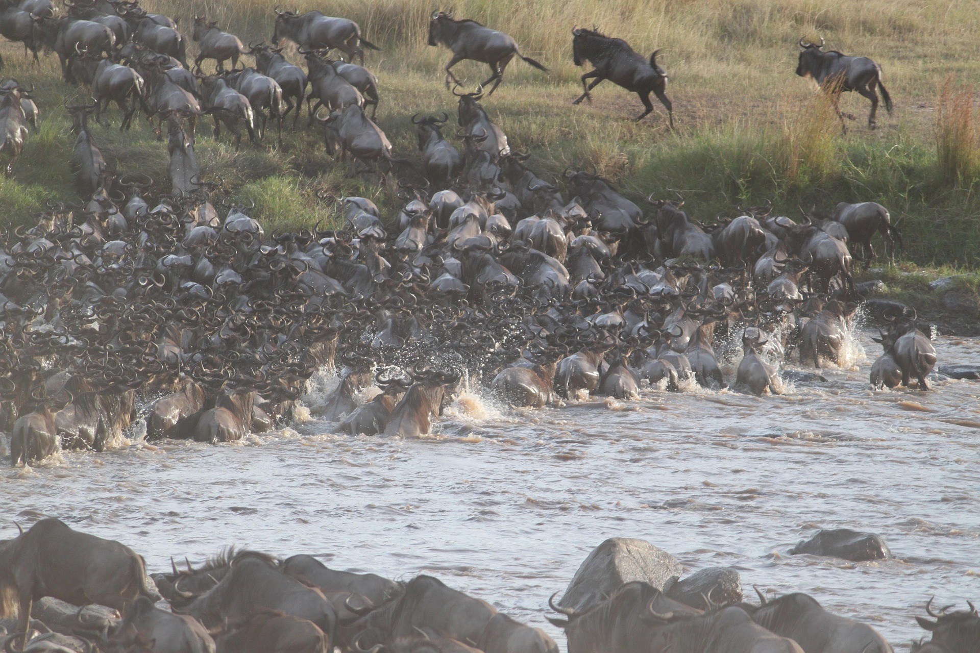 Serengeti National Park