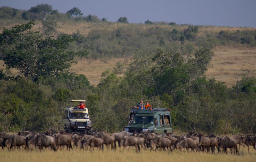 7 Days Grand Tanzania Safari: Tarangire, Serengeti, Ngorongoro & Manyara
